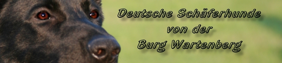 (c) Zwinger-burg-wartenberg.de